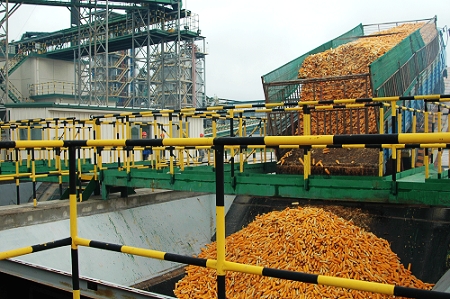 敦煌種業(yè)先鋒良種有限公司酒泉種子加工廠三、四期工程竣工投產(chǎn)