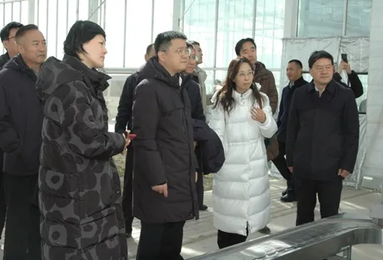 中國(guó)建設(shè)銀行股份有限公司領(lǐng)導(dǎo)一行蒞臨敦煌種業(yè)調(diào)研數(shù)字農(nóng)業(yè)項(xiàng)目